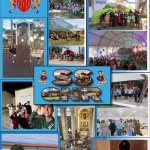 SSGNR - Serviços Sociais