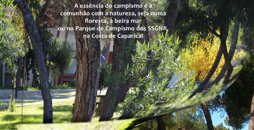 Concurso de Campismo Sazonal - 2015