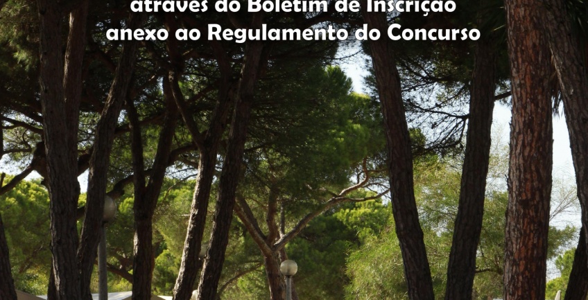 Concurso Campismo Prolongado na CFCC - 2020/2021