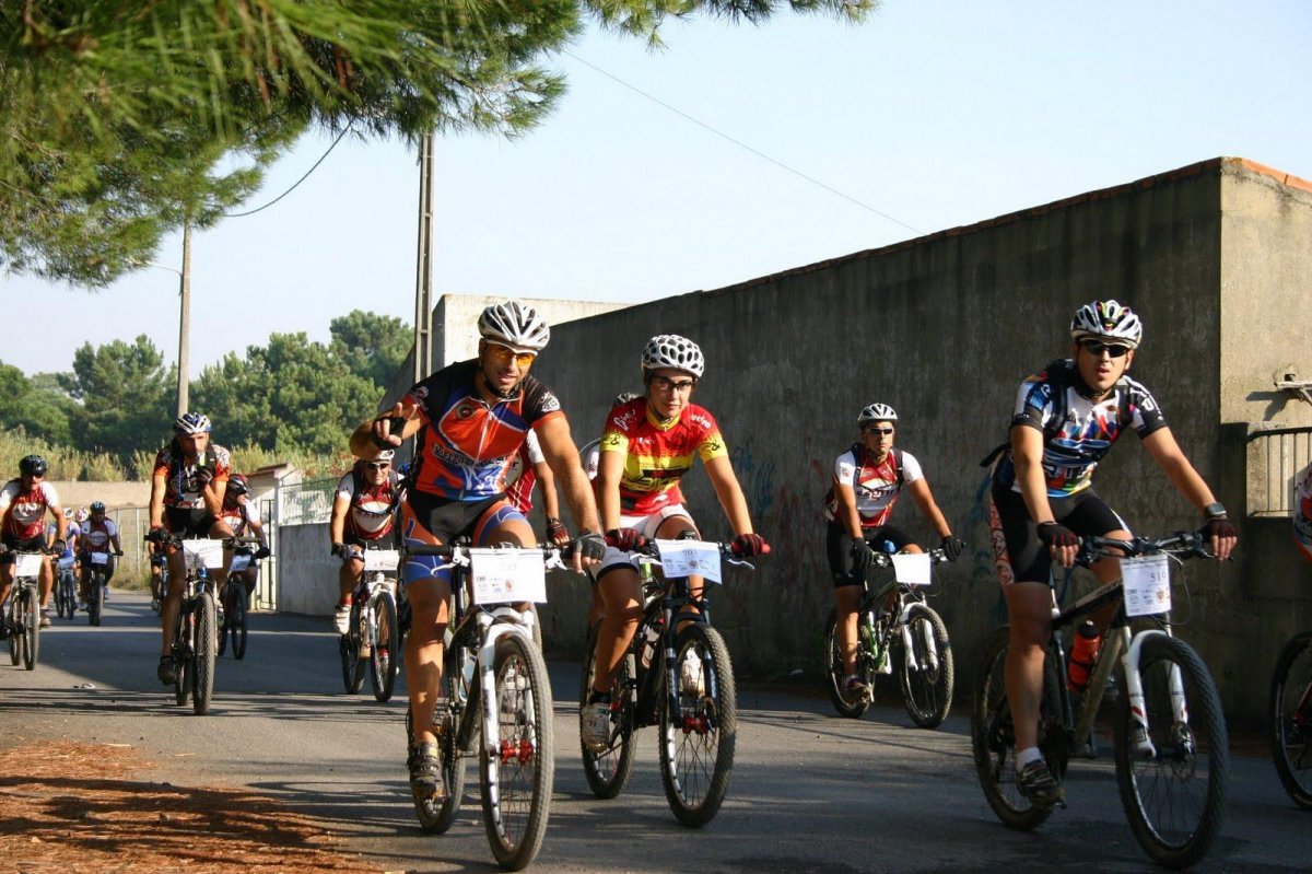 Dia do Desporto - SSGNR 2014 - CFCC