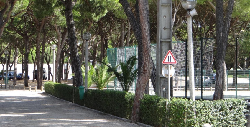 Resultados das atribuições de Alvéolos na Colónia de Férias da Costa da Caparica - Veraneio 2014