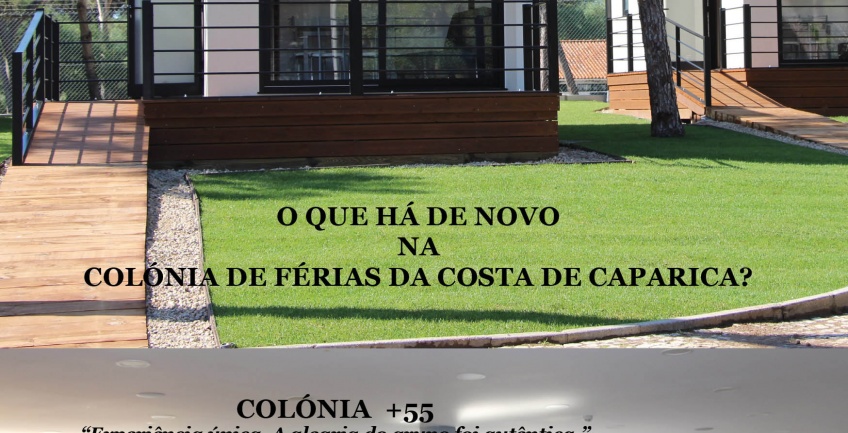 Boletim Informativo n.º 51