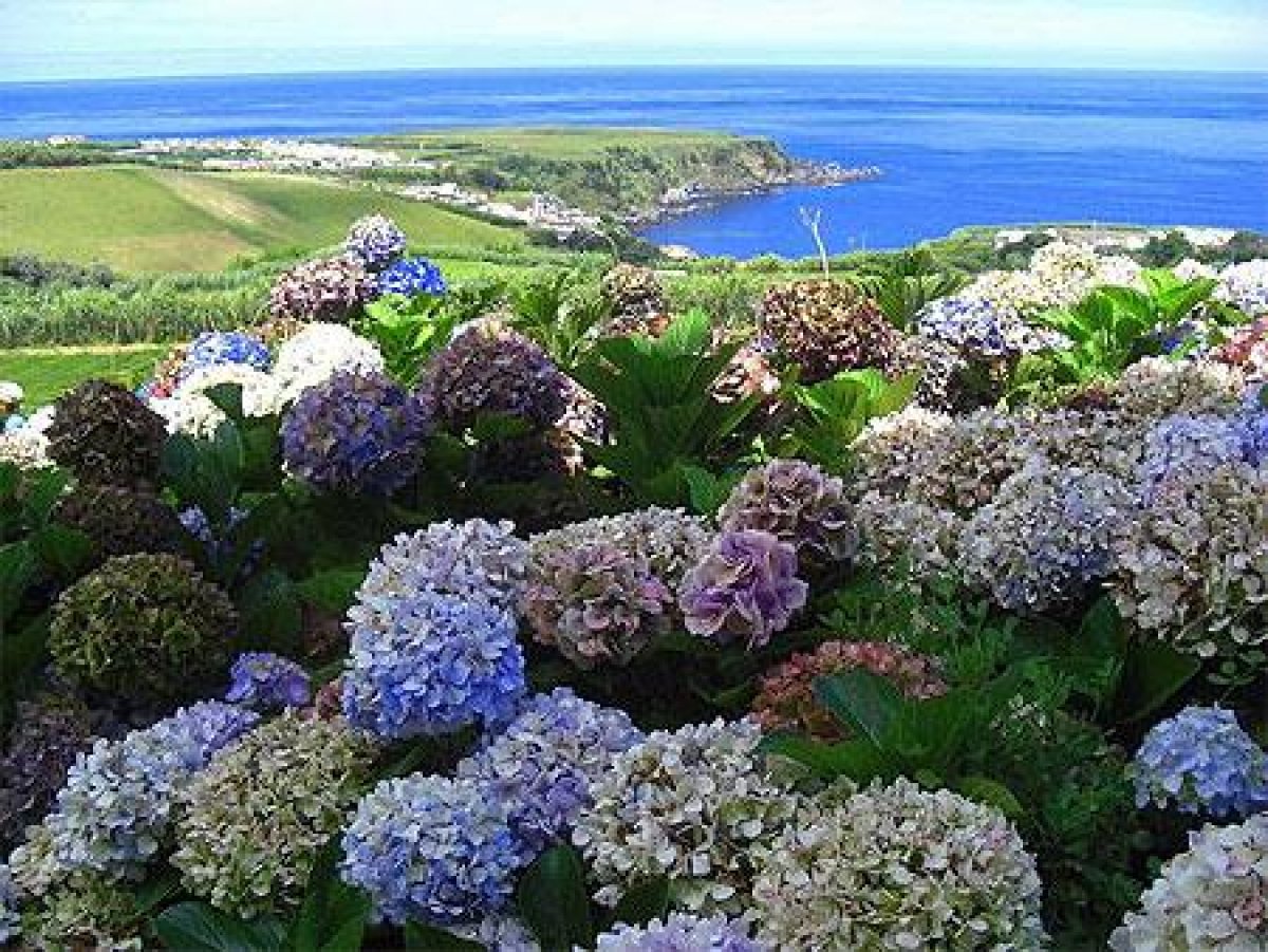 Resultados do Concurso Viagens Culturais SSGNR – Açores para Beneficiários em Situação de Ativo e Re